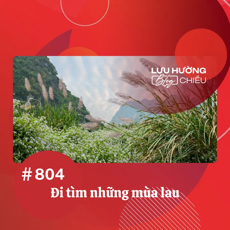 Đi tìm những mùa lau Đi tìm những mùa lau